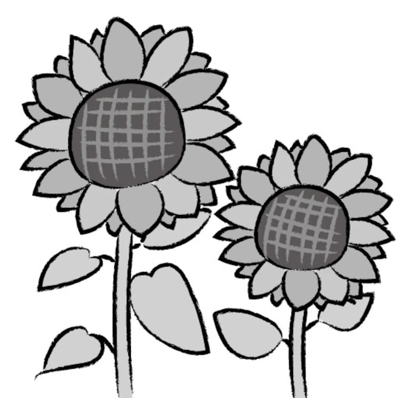 暑中見舞い イラスト 無料 フリー ひまわり 夏 白黒