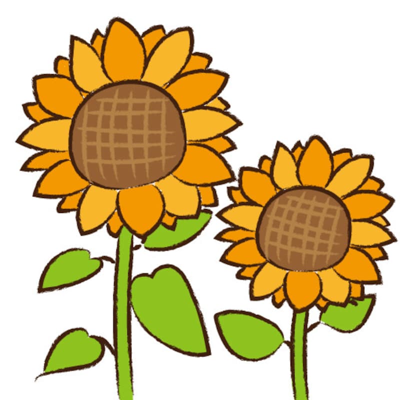 暑中見舞い イラスト 無料 フリー ひまわり 夏 カラー