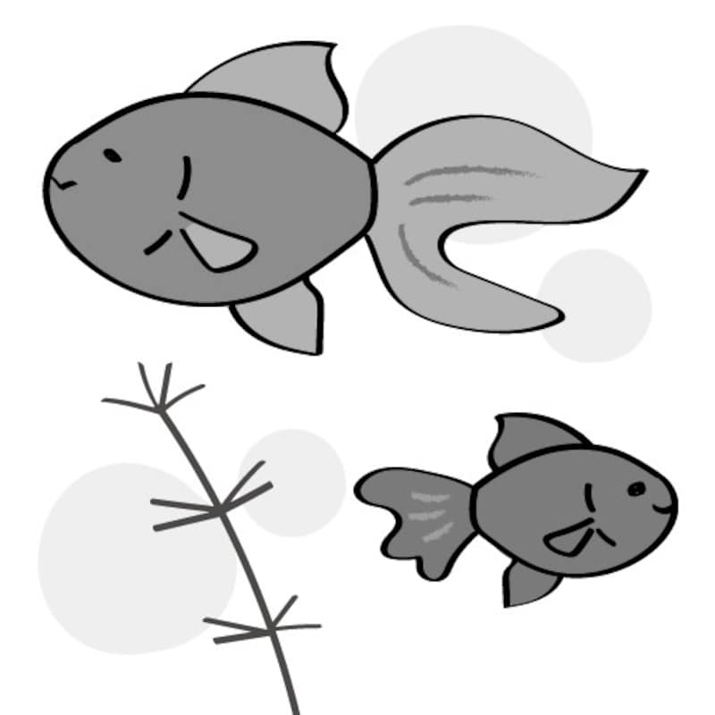 暑中見舞い イラスト 無料 フリー 金魚 夏 白黒