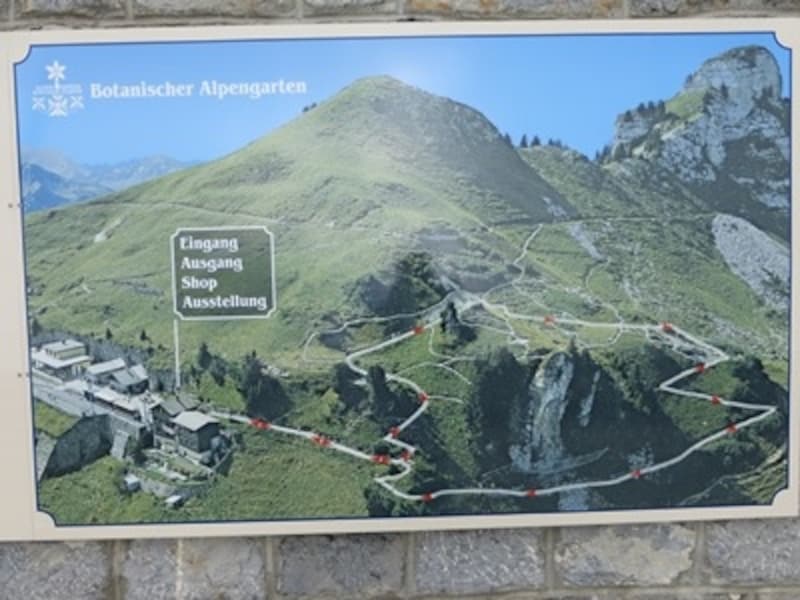 シーニゲプラッテ概念図