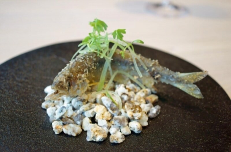 「庄川」で獲れた「鮎」