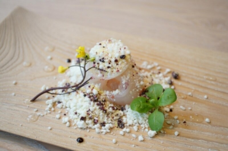 ボタン海老 / 西洋ワサビ