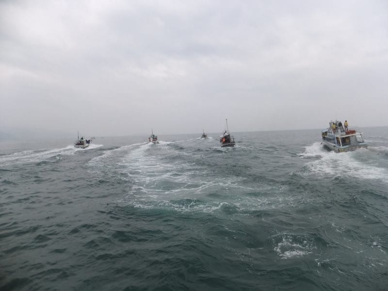 イルカが見られるポイントへ向かうイルカウォッチングの船たち