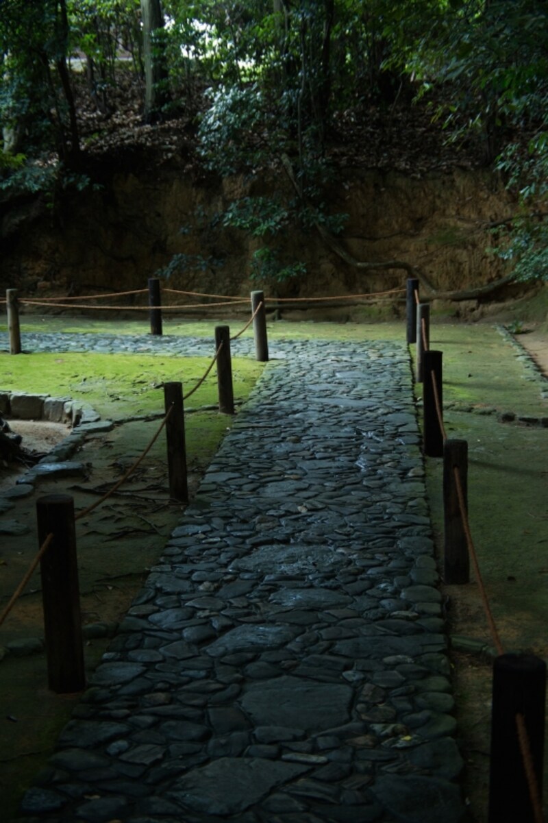 地面の反射