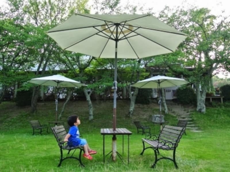 緑が美しいガーデン。6月下旬にはカミキリムシやクワガタに出会えました