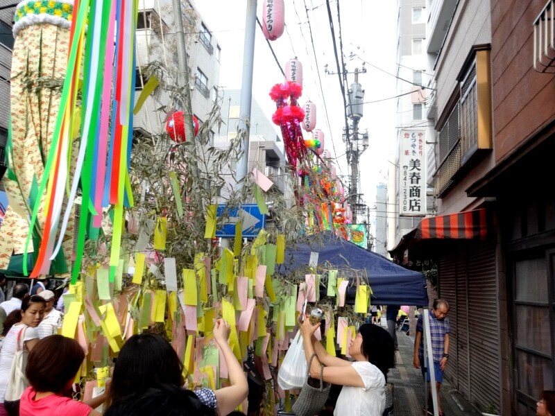 それにしても多くの願いで笹もしなっている