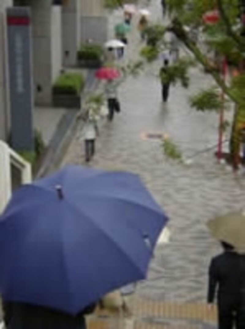 傘をさし歩くひとたち