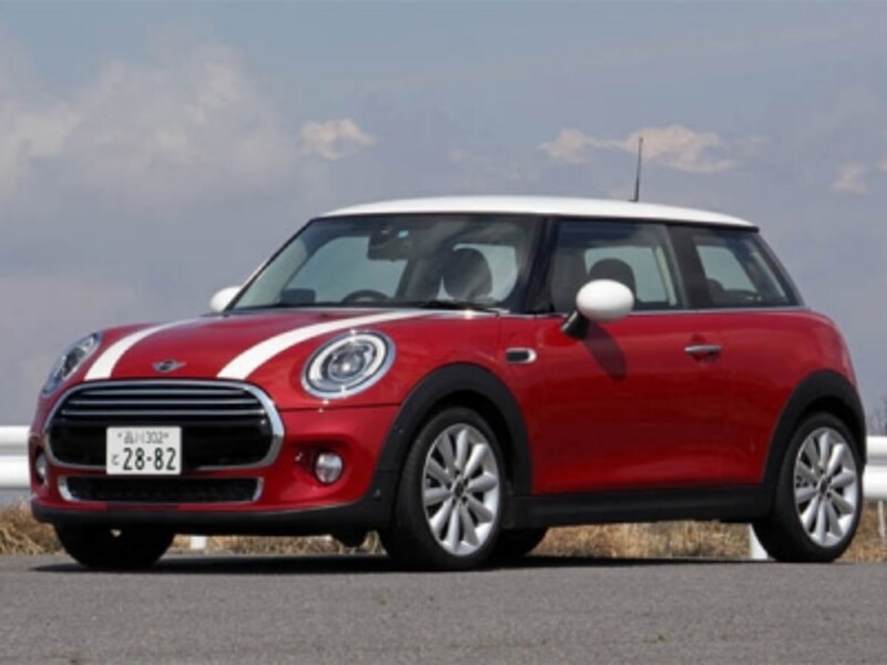 ハツラツ ミニ 大きくなってもらしさそのまま Mini All About