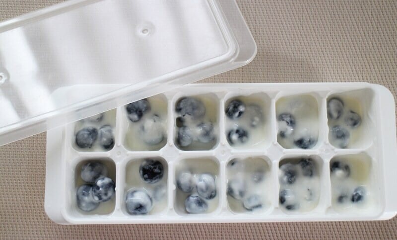 フタ付きの製氷皿が便利です