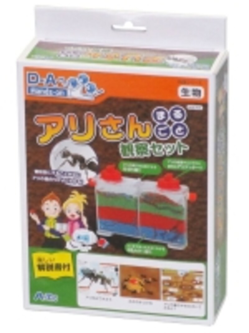 フルカラーの解説ブック付き