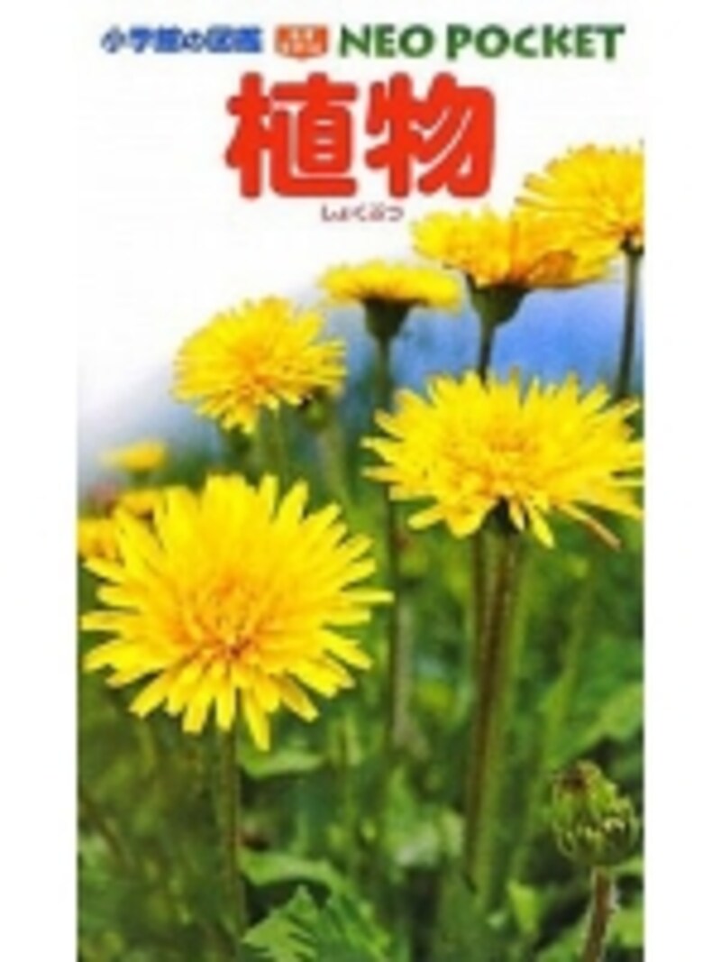 植物採集におすすめのポケット図鑑「植物(学研・1037円)