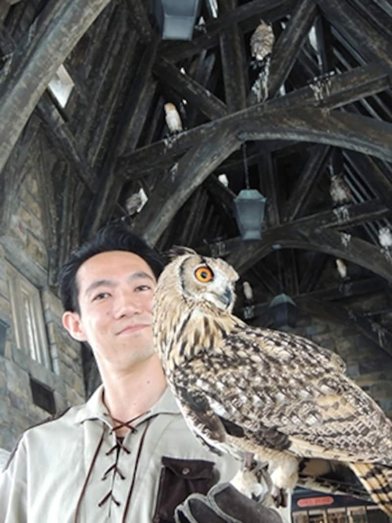 ふくろうとの遭遇