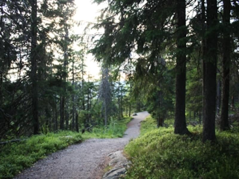 2 2 フィンランド随一の眺望 コリ国立公園のウッコ展望台 フィンランド All About