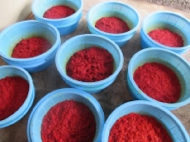 発酵させた紅花。鮮やかな紅色が美しい。