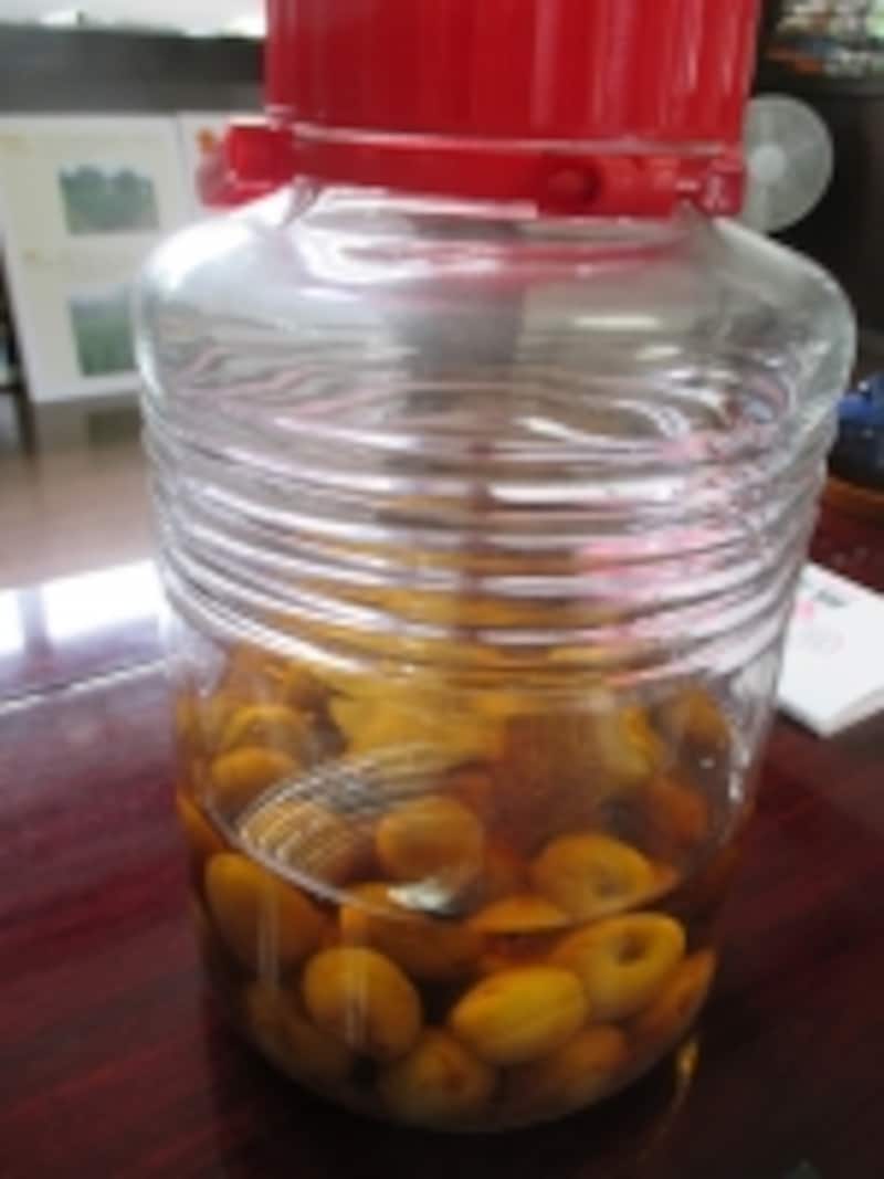 今野さんお手製の梅酒。紅花で梅酒がワンランクアップします！