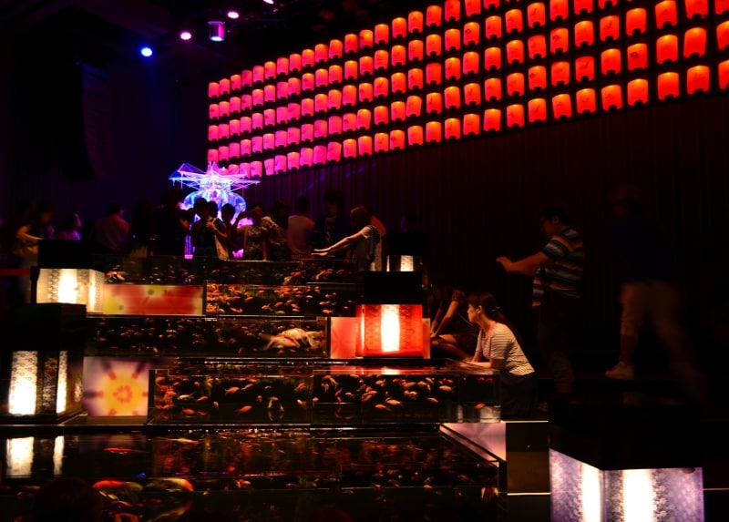 アートアクアリウム2014の会場内