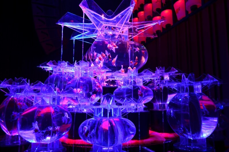 大奥undefined巨大金魚鉢