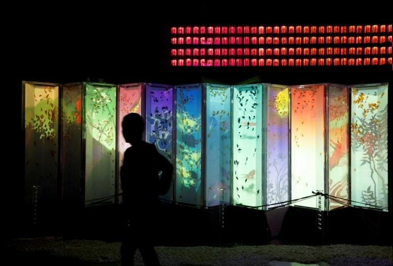 プロジェクションマッピングを用いたビョウブリウム2