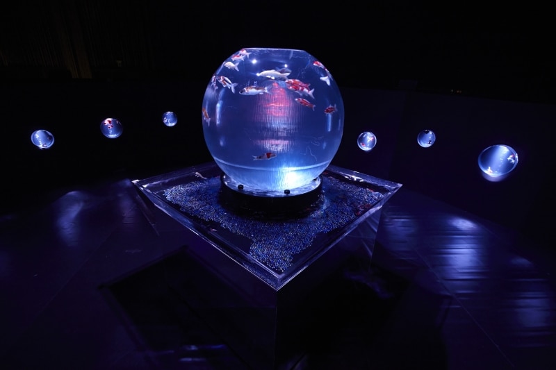 アクアリウム・ジャポニズム