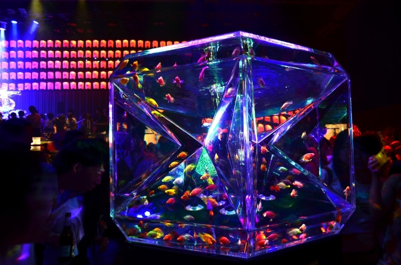 新作のパラドックスリウム