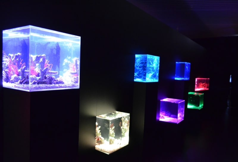 オーシャン・ジオグラフィックウォール