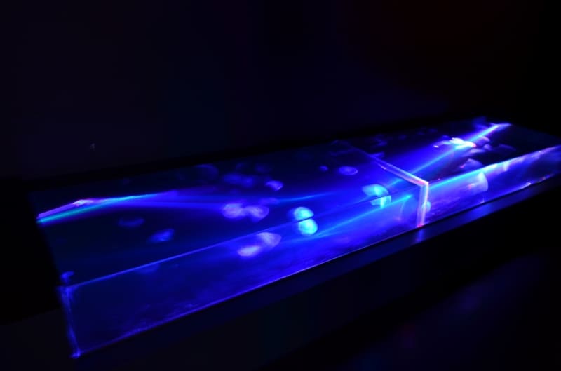 スペースジェリウム