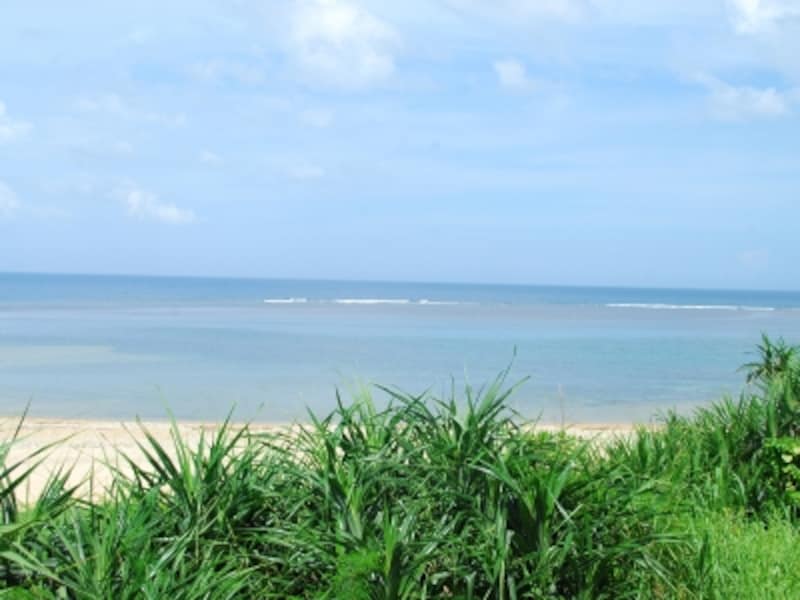 yanbaru beach