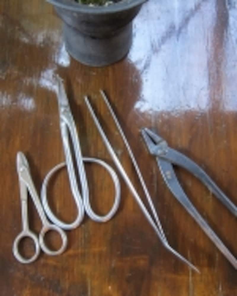 盆栽専用の道具