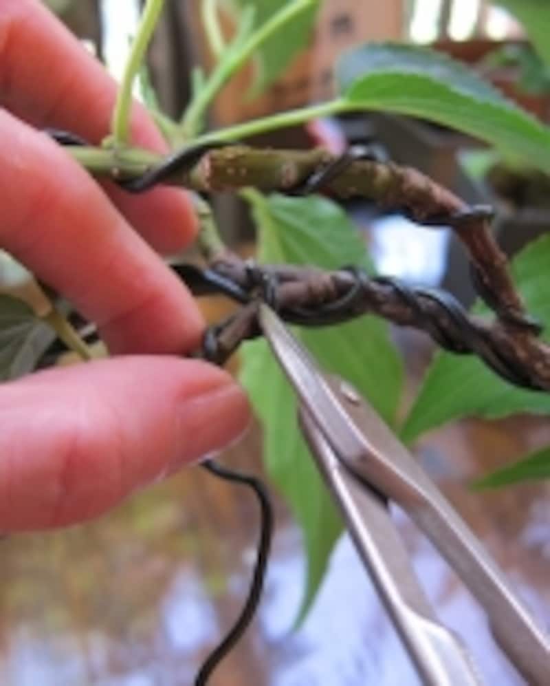 ハサミではずす