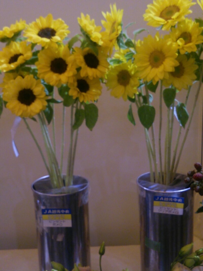 ひまわり生花
