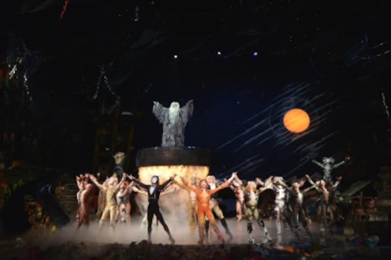 『キャッツ』撮影：荒井健