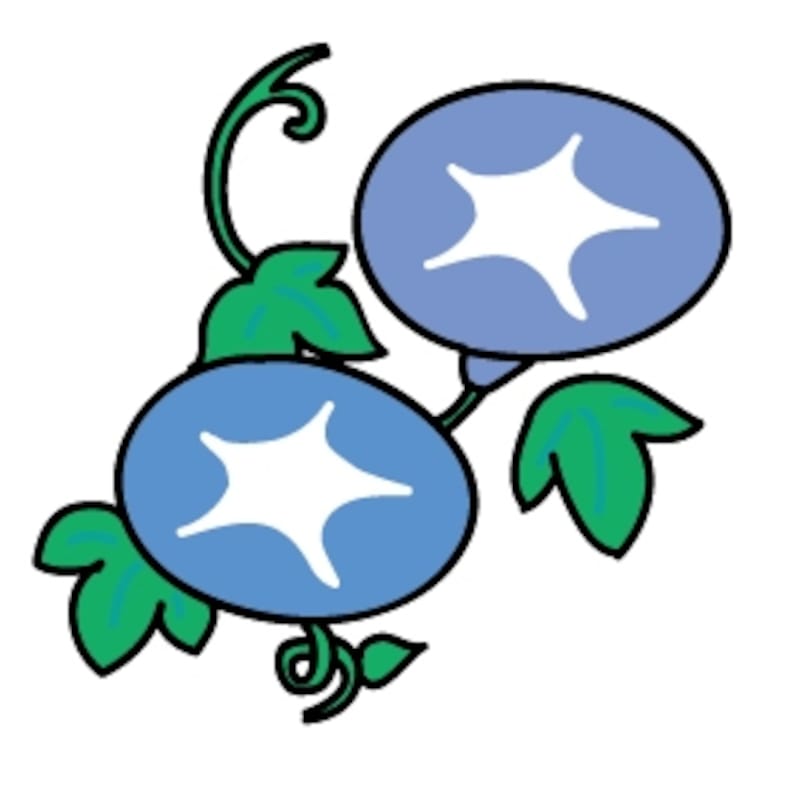 【カラー】ブルー系の朝顔です。