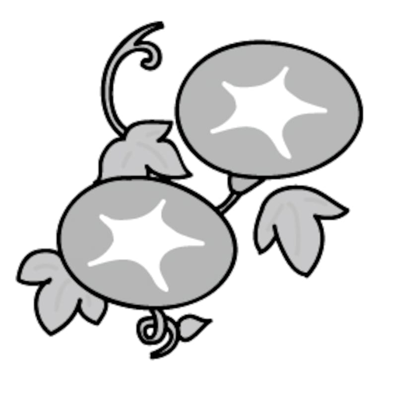 【モノクロ】朝顔です。