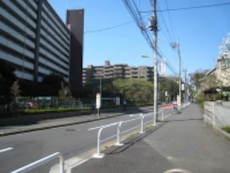 世田谷文学館近くの千歳通り。さらに駅から遠ざかると歩道がなくなり、道幅も狭くなり、やや危険
