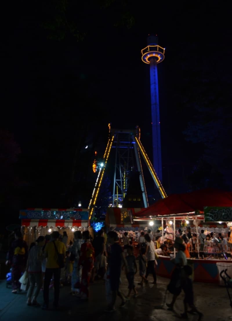 夜はアトラクションがライトアップされる