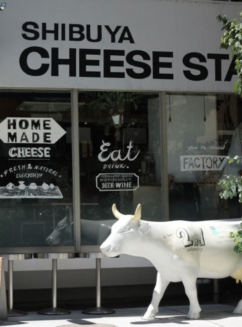 オープン当初からの看板牛。真っ白で大きなその姿は存在感抜群！