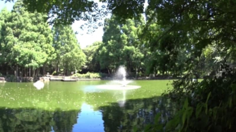 ウオータープルーフ装着時の映像