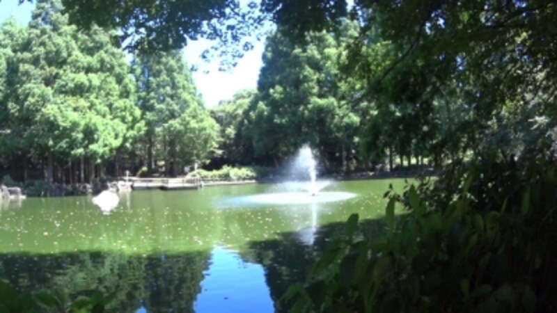 広角170度の映像