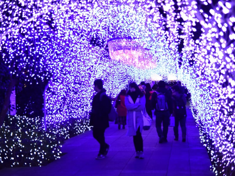 数万個のクリスタルビーズを使用した光のアーチ