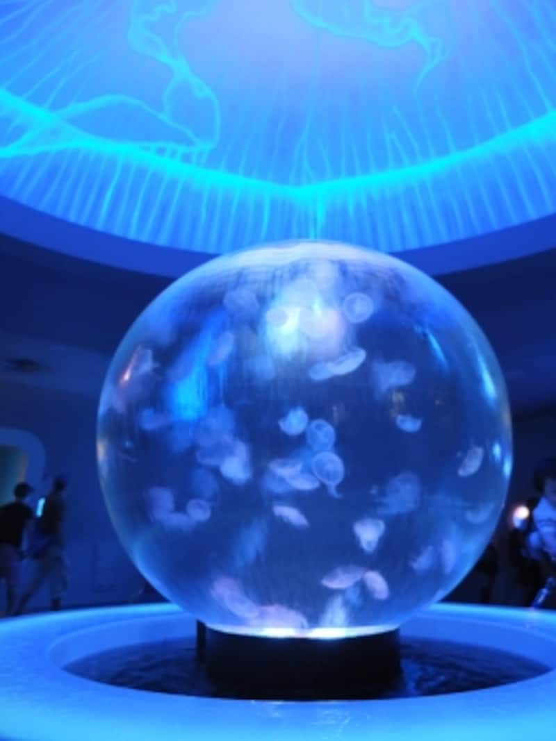 クラゲファンタジーホールの球形の水槽「クラゲプラネット」