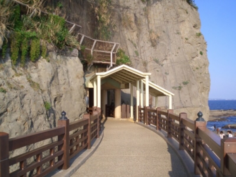 江の島岩屋入口(写真提供:藤沢市観光協会)