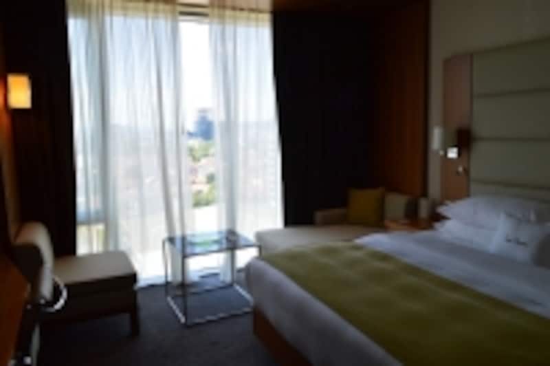 客室からの眺め