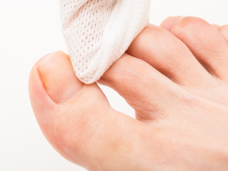 爪の輪郭をしっかり出して