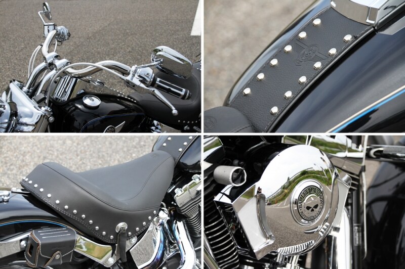 運転しやすいよう手前に持ってこられたハンドルバー、H-Dオリジナルのスカル入りエアクリーナー、そしてシルバーのピンが打ち込まれたアクセントなど、個性を引き出している。