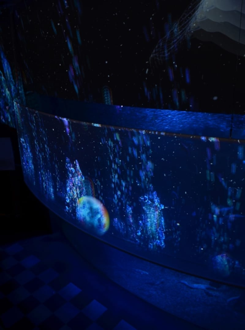 深海世界のオアシス