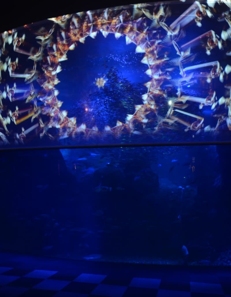 「深海世界のオアシス」