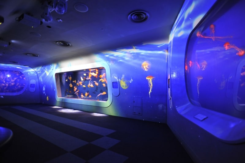 クラゲが幻想的な「海月の宇宙」