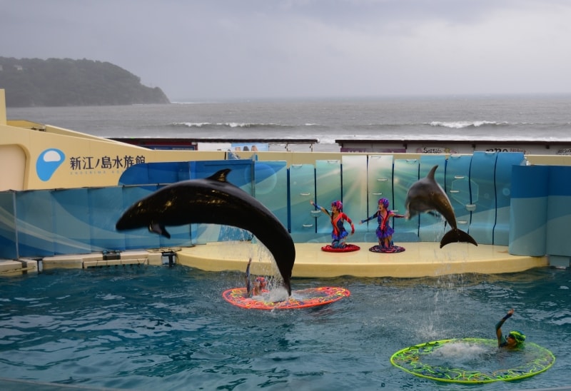 ミュージカル仕立ての「ドルフェリア」