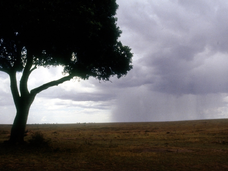 raincolumn