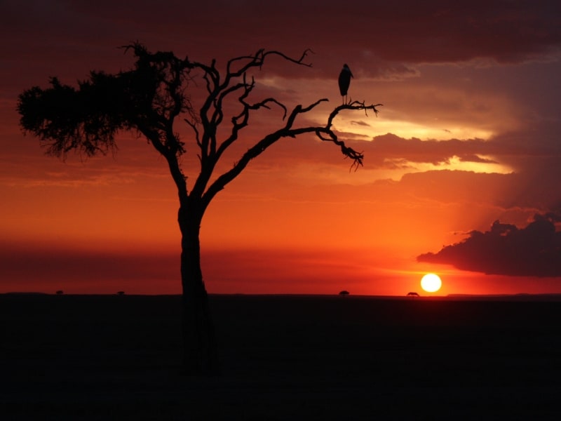 sunset